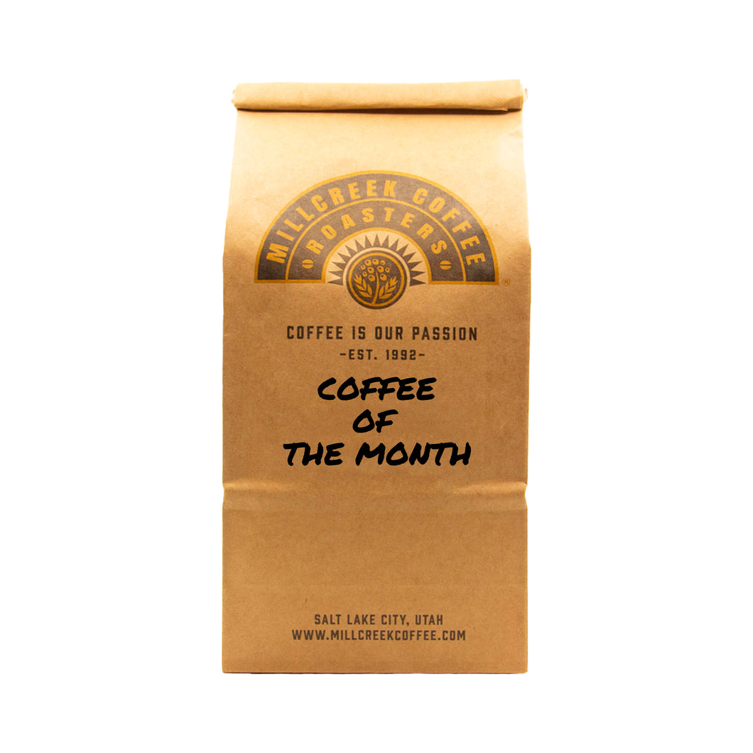 Coffee of the Month - Nicaragua Jinotega